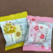 ヒメ日記 2026/04/12 10:27 投稿 北沢(きたざわ) Ageha（あげは）