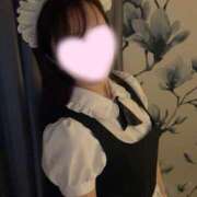 ヒメ日記 2024/12/21 17:15 投稿 ゆうこ ダイスキ