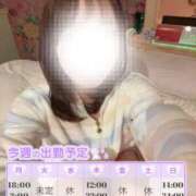 ヒメ日記 2025/06/16 12:04 投稿 ゆうこ ダイスキ