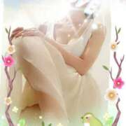 ヒメ日記 2025/02/26 12:41 投稿 あさか 熟女の風俗最終章 宇都宮店