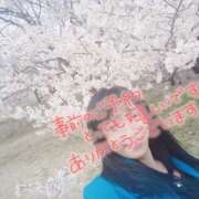 ヒメ日記 2025/04/11 15:31 投稿 あさか 熟女の風俗最終章 宇都宮店