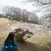 ヒメ日記 2025/04/12 21:51 投稿 あさか 熟女の風俗最終章 宇都宮店