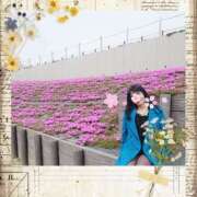 ヒメ日記 2025/04/24 08:02 投稿 あさか 熟女の風俗最終章 宇都宮店