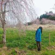 ヒメ日記 2025/04/27 11:02 投稿 あさか 熟女の風俗最終章 宇都宮店