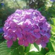 ヒメ日記 2025/06/23 21:21 投稿 あさか 熟女の風俗最終章 宇都宮店