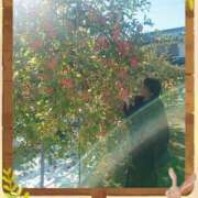 ヒメ日記 2025/11/18 00:01 投稿 あさか 熟女の風俗最終章 宇都宮店