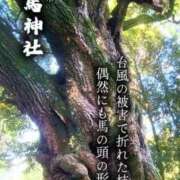 ヒメ日記 2026/01/09 06:33 投稿 あさか 熟女の風俗最終章 宇都宮店