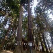 ヒメ日記 2026/02/06 01:37 投稿 あさか 熟女の風俗最終章 宇都宮店