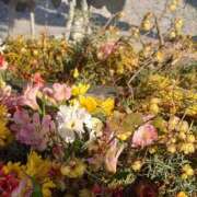 ヒメ日記 2026/02/24 00:01 投稿 あさか 熟女の風俗最終章 宇都宮店