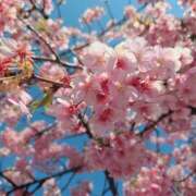 ヒメ日記 2026/03/17 21:31 投稿 あさか 熟女の風俗最終章 宇都宮店