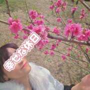 ヒメ日記 2026/03/22 23:29 投稿 あさか 熟女の風俗最終章 宇都宮店