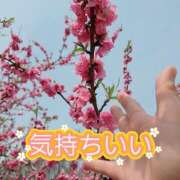 ヒメ日記 2026/03/23 15:31 投稿 あさか 熟女の風俗最終章 宇都宮店