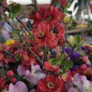 ヒメ日記 2026/03/24 10:37 投稿 あさか 熟女の風俗最終章 宇都宮店