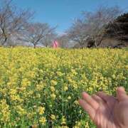 ヒメ日記 2026/03/27 09:18 投稿 あさか 熟女の風俗最終章 宇都宮店