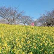 ヒメ日記 2026/03/29 15:41 投稿 あさか 熟女の風俗最終章 宇都宮店