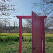 ヒメ日記 2026/04/01 10:28 投稿 あさか 熟女の風俗最終章 宇都宮店