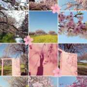 ヒメ日記 2026/04/02 08:11 投稿 あさか 熟女の風俗最終章 宇都宮店