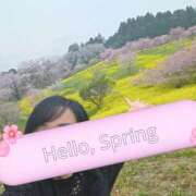 ヒメ日記 2026/04/08 00:11 投稿 あさか 熟女の風俗最終章 宇都宮店