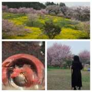 ヒメ日記 2026/04/08 05:21 投稿 あさか 熟女の風俗最終章 宇都宮店