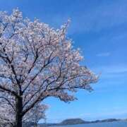 ヒメ日記 2026/04/08 15:41 投稿 あさか 熟女の風俗最終章 宇都宮店