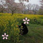 ヒメ日記 2026/04/08 20:41 投稿 あさか 熟女の風俗最終章 宇都宮店