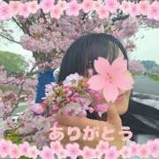 ヒメ日記 2026/04/11 20:51 投稿 あさか 熟女の風俗最終章 宇都宮店