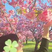 ヒメ日記 2026/04/17 10:41 投稿 あさか 熟女の風俗最終章 宇都宮店