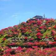 あさか いろとりどりの美しさ 熟女の風俗最終章 宇都宮店