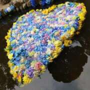 ヒメ日記 2026/04/22 17:11 投稿 あさか 熟女の風俗最終章 宇都宮店