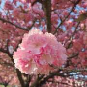 ヒメ日記 2026/04/22 23:41 投稿 あさか 熟女の風俗最終章 宇都宮店