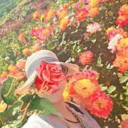 ヒメ日記 2026/05/13 07:21 投稿 あさか 熟女の風俗最終章 宇都宮店
