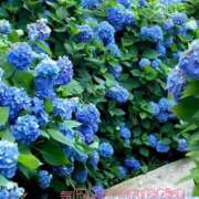 ヒメ日記 2026/05/26 22:01 投稿 あさか 熟女の風俗最終章 宇都宮店