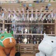 ヒメ日記 2026/07/06 19:22 投稿 あさか 熟女の風俗最終章 宇都宮店