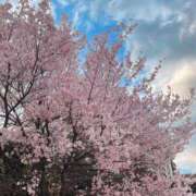 ヒメ日記 2025/04/03 22:52 投稿 きほ 鶯谷デリヘル倶楽部