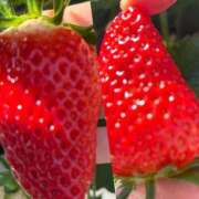 ヒメ日記 2025/02/15 23:51 投稿 ハート Blue Lagoon(ブルーラグーン)