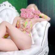 ヒメ日記 2025/02/28 19:50 投稿 NENE GINGIRA☆TOKYO～ギンギラ東京～