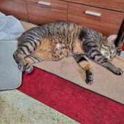 ヒメ日記 2024/12/29 09:22 投稿 木村 熟女の風俗最終章 新横浜店