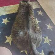 ヒメ日記 2025/01/11 10:16 投稿 木村 熟女の風俗最終章 新横浜店