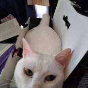 木村 今日は16時から！ 熟女の風俗最終章 新横浜店