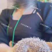 ヒメ日記 2025/01/27 17:03 投稿 うき お姉京都