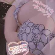 ヒメ日記 2025/01/12 02:22 投稿 えりか 人妻㊙︎倶楽部