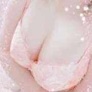 ヒメ日記 2026/03/13 13:30 投稿 えりか 人妻㊙︎倶楽部