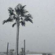 杉田　絵奈 白銀の世界❄️ 川崎小町（川崎ハレ系）