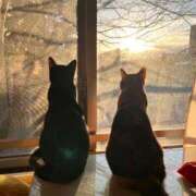 ヒメ日記 2025/02/15 07:48 投稿 ともえ 厚木人妻城