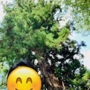 ヒメ日記 2025/07/30 01:38 投稿 りえこ おふくろさんYO!!大和店