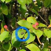 ヒメ日記 2025/10/03 09:28 投稿 りえこ おふくろさんYO!!大和店