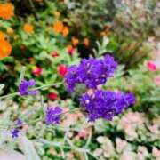 ヒメ日記 2025/10/19 12:48 投稿 りえこ おふくろさんYO!!大和店