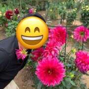 ヒメ日記 2025/11/08 10:28 投稿 りえこ おふくろさんYO!!大和店