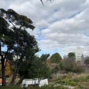 ヒメ日記 2025/12/25 23:58 投稿 りえこ おふくろさんYO!!大和店