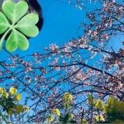 ヒメ日記 2026/03/08 13:38 投稿 りえこ おふくろさんYO!!大和店